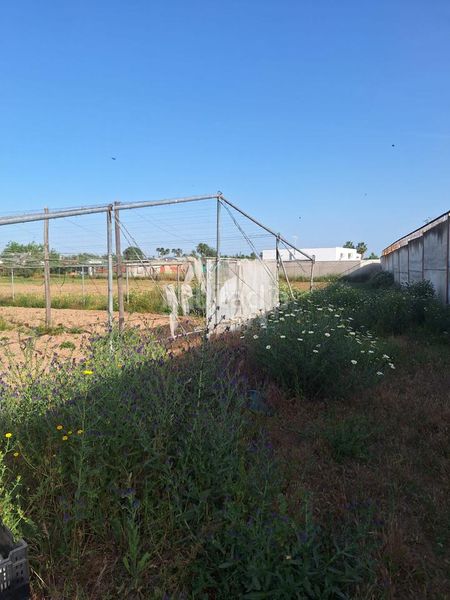 Foto ad2962af-e74e-472b-9e40-e87d19667686. Finca rústica a Pedanías Norte Utrera