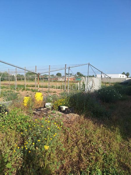 Foto dc5839c9-9ebf-46aa-9b3b-7e8b66a41035. Finca rústica a Pedanías Norte Utrera