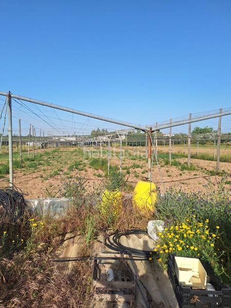 Foto e09444fc-0ff2-4590-a188-43965e702441. Finca rústica a Pedanías Norte Utrera