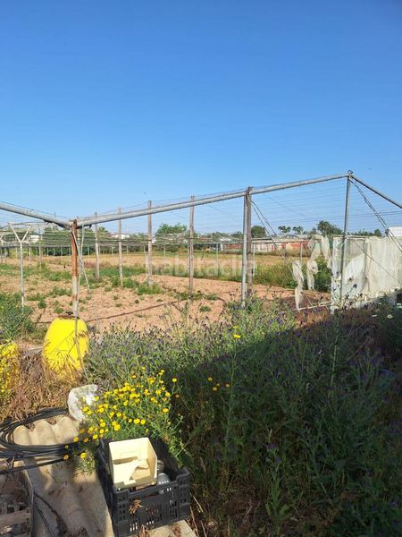 Foto e652f0e0-8294-4e22-9b10-c5fbc5594492. Finca rústica a Pedanías Norte Utrera