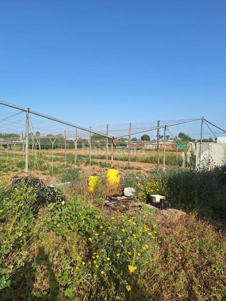 Foto f15fa3f4-cddc-474f-ae0d-72cc91f4611c. Finca rústica a Pedanías Norte Utrera