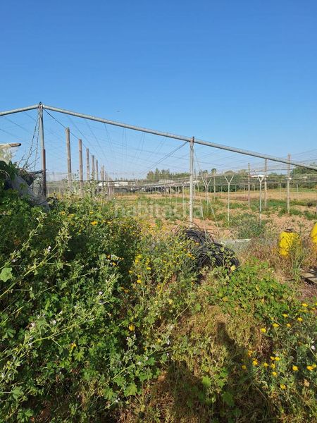 Foto ff6ffd48-88a6-4572-ad02-d5fdead1743b. Finca rústica a Pedanías Norte Utrera
