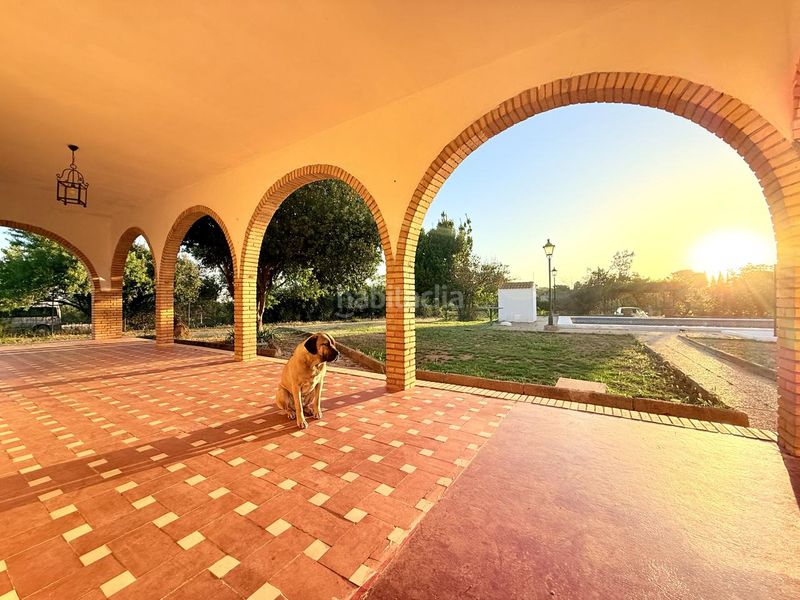 Foto f0de60ec-d0a7-4369-91c2-640254d8d61f. Casa a Carmona