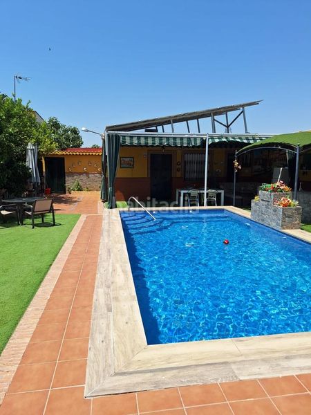 Foto dbe40f94-178a-4226-9b00-1ba528ae9338. Haus mit pool in Nueva Alcalá Alcalá de Guadaira