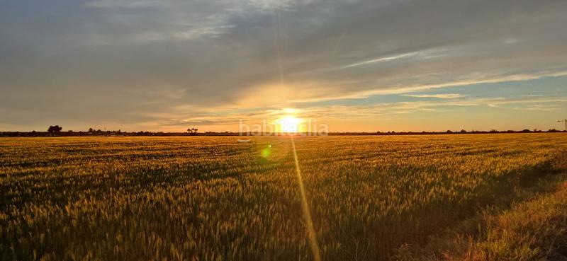 Foto cd778e11-91c9-4353-b063-340304b16518. Wohngrundstück in hacienda de regla 69 in Palomares del Río