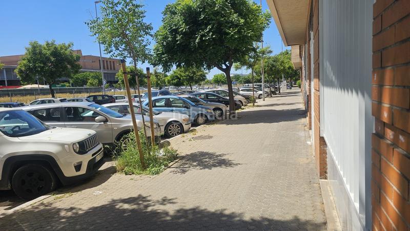 Foto e68492c9-1757-4fce-b98f-22220169090d. Pis a San Carlos - San José Sevilla