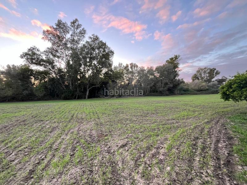 Foto 0efff6f8-bad3-4612-9f39-e6d700abb712. Finca rústica a Parque Atlántico - Ronda este Jerez de la Frontera