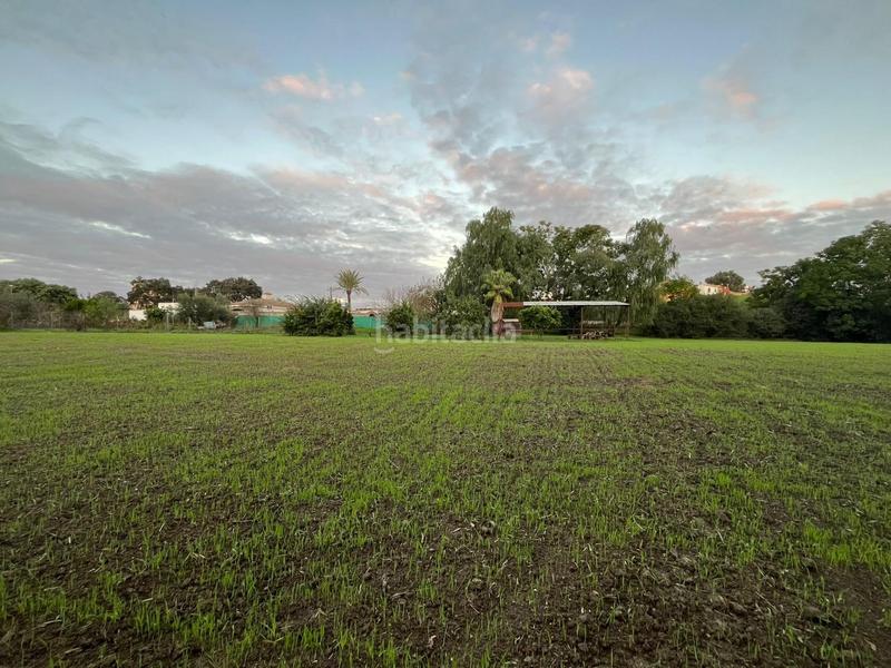 Foto 2011ba55-cee8-446b-a0a2-ab665e2abc9f. Finca rústica a Parque Atlántico - Ronda este Jerez de la Frontera