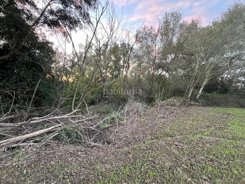 Foto 53b6c163-3e56-46ef-b0d9-1f5ee1fba265. Finca rústica a Parque Atlántico - Ronda este Jerez de la Frontera