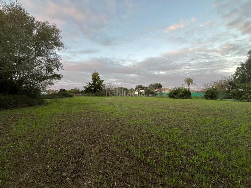 Foto 6209ee2f-6fe1-4c67-881e-dc565cf42390. Finca rústica a Parque Atlántico - Ronda este Jerez de la Frontera