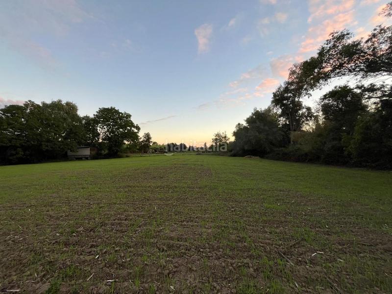 Foto 7be42a43-3c85-4df9-96b1-4823c94e1893. Finca rústica a Parque Atlántico - Ronda este Jerez de la Frontera