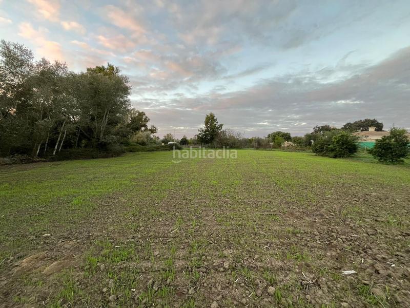 Foto ebe79930-5a26-4852-b075-923005693ccd. Finca rústica a Parque Atlántico - Ronda este Jerez de la Frontera