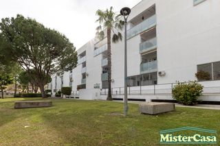 Ático en El Altillo. Exclusiva. zona norte. ático dúplex vpo. terrazasolarium de 52m2