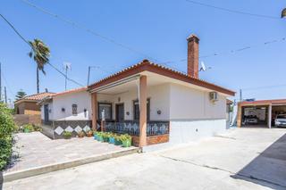 Xalet  Urbanizacion hermandad la, calle camino real. Se vende chalet planta baja  243 m2 3 habitaciones, 2 cocinas, 2