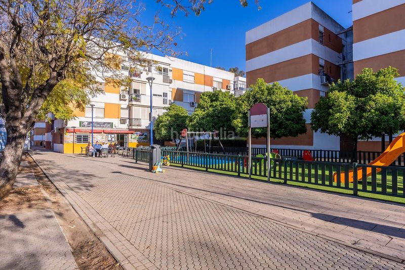 Foto 7146123d-8d4b-4d0d-b999-caae7394006e. Pis a Bellavista Sevilla