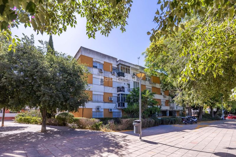 Foto d9a38731-6107-4893-ad5e-b80e9ab40f7f. Pis a Bellavista Sevilla