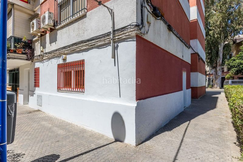 Foto 0aa9617e-f7c8-4fc7-8f5d-6267d7ebd7a7. Pis a Bellavista Sevilla