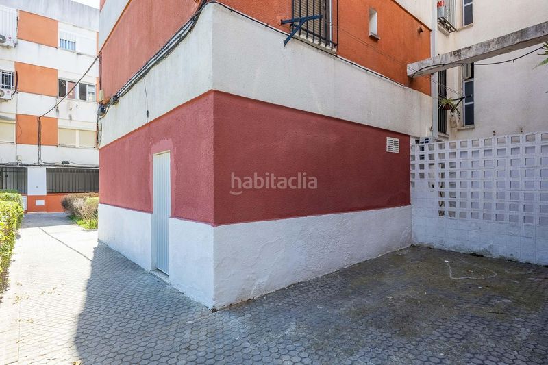 Foto 6b758f42-45ad-4f21-b624-c6e28ac174bf. Pis a Bellavista Sevilla
