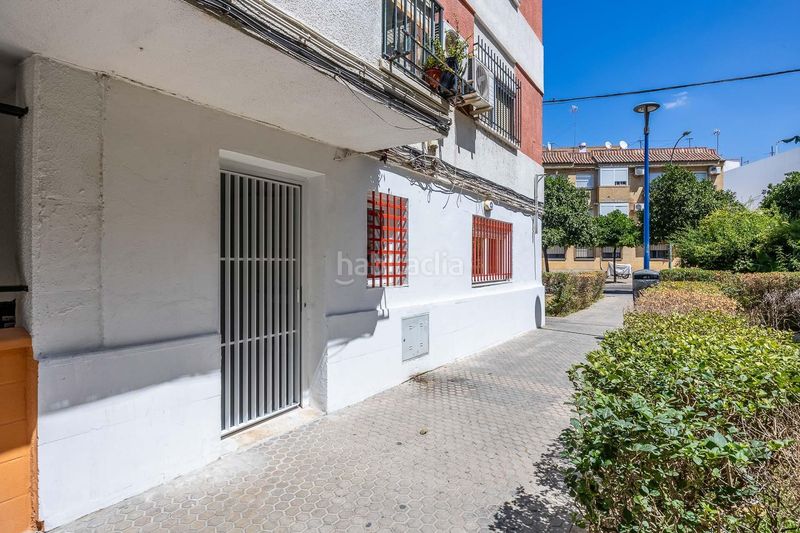 Foto b8984937-819b-4ddd-af94-30fb3147cbb5. Pis a Bellavista Sevilla