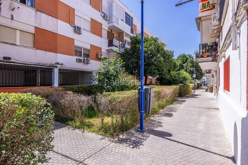 Foto b986b43d-bcc7-43d7-b019-6b536c0bce98. Pis a Bellavista Sevilla