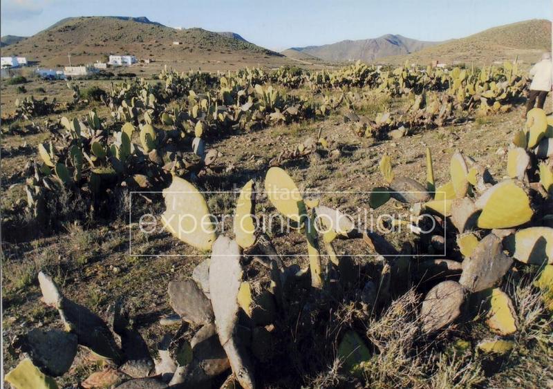 Foto 1ae4a2d0-1ca1-4cc1-9989-81fb937d6db0. Wohngrundstück in calle las casillas 163d in Pozo de los Frailes-Presillas-Albaricoques Níjar