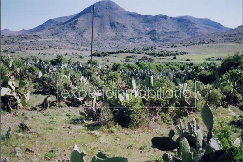 Foto 2de55cb2-680a-4575-9cc0-b095626df4fb. Wohngrundstück in calle las casillas 163d in Pozo de los Frailes-Presillas-Albaricoques Níjar