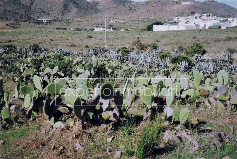 Foto 897f0ab5-5f51-418d-918e-c1fe33990515. Wohngrundstück in calle las casillas 163d in Pozo de los Frailes-Presillas-Albaricoques Níjar