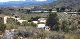 Terreny residencial  Calle nueva
