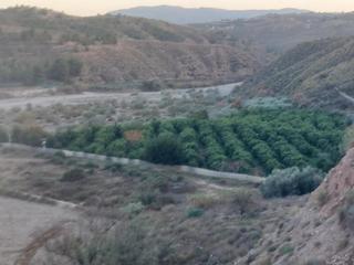Finca rústica  Al-450. Parcela en venta (rambla de gérgal)