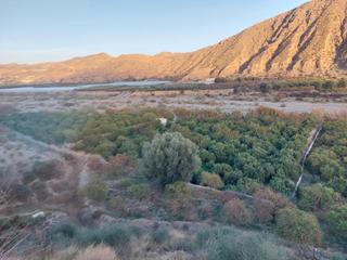 Finca rústica a Al-450 4. Parcela en venta (rambla de gérgal)