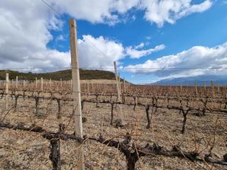 Finca rústica a Nevada. Fincas en venta (laroles – granada)