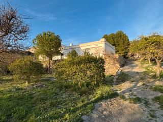 Finca rústica  Paraje baldomino. Finca con corijo en venta (alsodux)