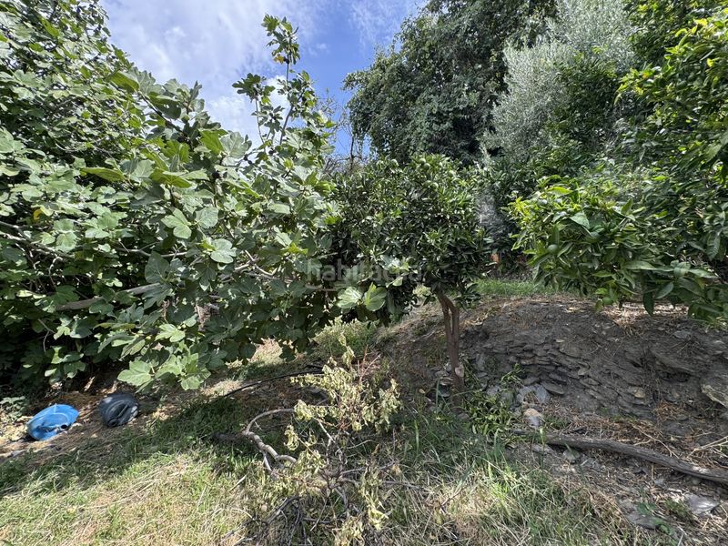 Foto 09ae6a22-2e7b-4b99-90d0-18a91c74fe74. Finca rústica a calle lavadero 15 a Ohanes