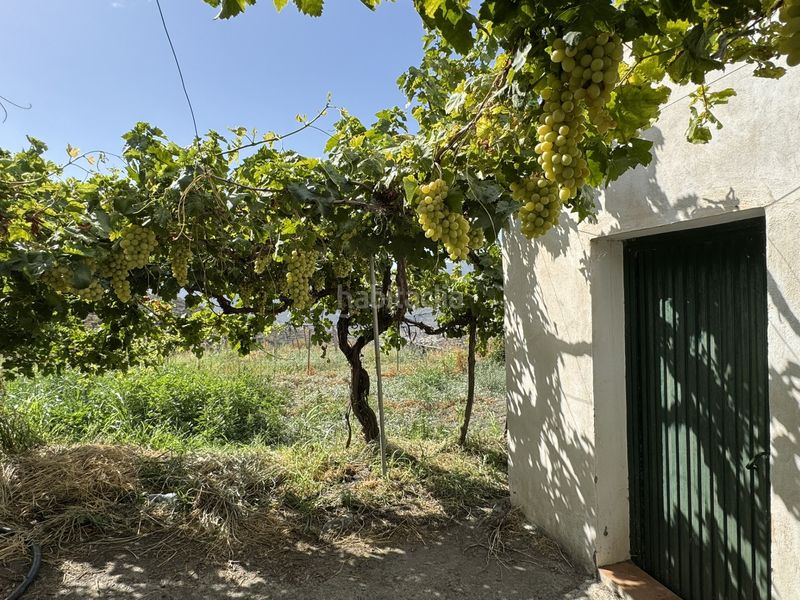 Foto 29d9e870-d049-4691-b1f1-96bf585d2060. Finca rústica a calle lavadero 15 a Ohanes