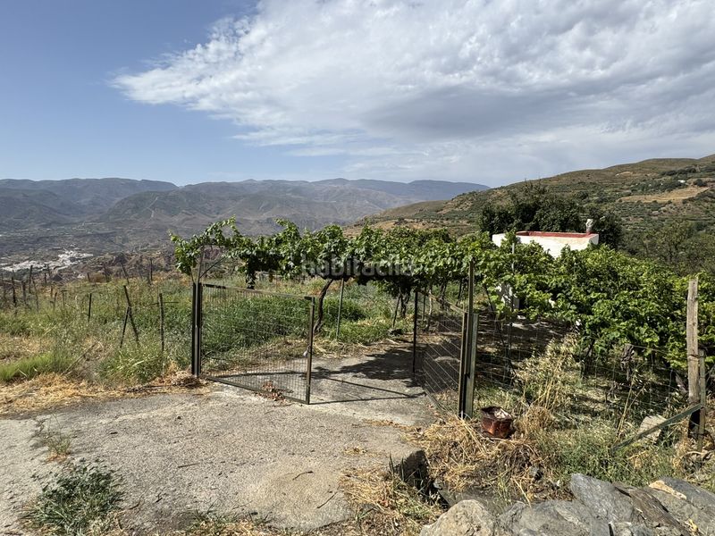 Foto 428eb0f3-b8d6-4cf6-a539-4772722dcce9. Finca rústica a calle lavadero 15 a Ohanes