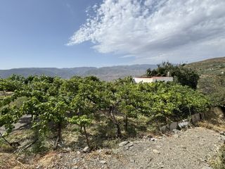Fondo rustico  Calle lavadero 15. Finca rústica en venta (ohanes)