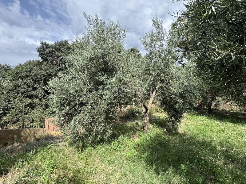 Foto 4cf99f03-0132-4816-8982-851d38799f4e. Finca rústica a calle lavadero 15 a Ohanes
