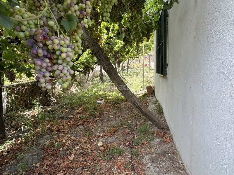 Foto 5b7dff89-ea15-419a-b94e-64b829f5337e. Finca rústica a calle lavadero 15 a Ohanes