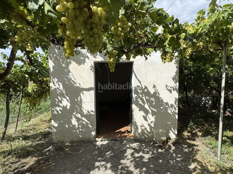 Foto 5bfa42a2-8327-4df3-abc6-7330bac8d726. Finca rústica a calle lavadero 15 a Ohanes