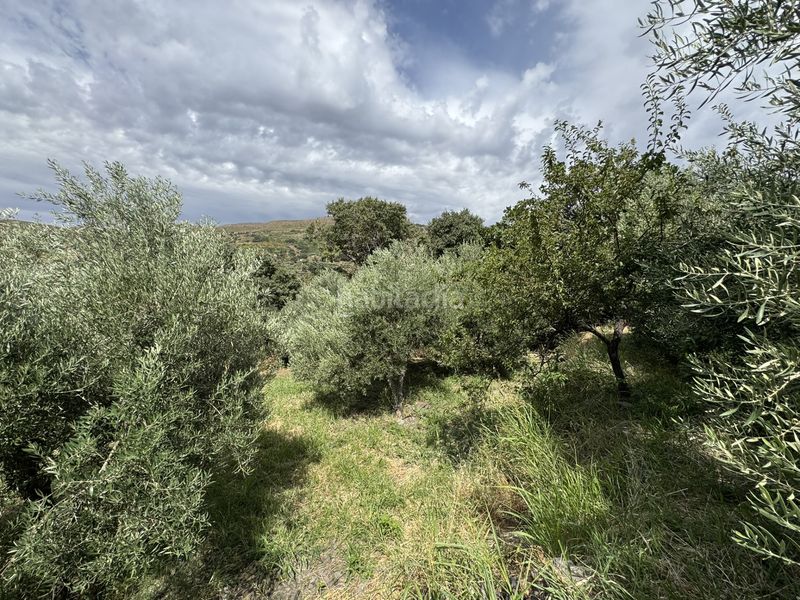 Foto 7922e950-f1a2-4a29-89b3-788058ada3d7. Finca rústica a calle lavadero 15 a Ohanes