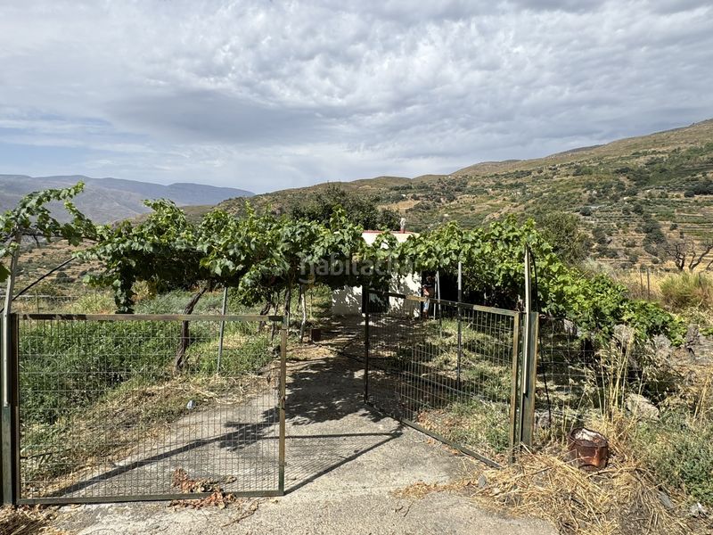 Foto 81d8ec84-3d94-472d-9341-251be351a7f5. Finca rústica a calle lavadero 15 a Ohanes