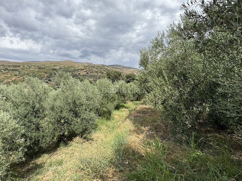 Foto 94994775-512b-45b6-abf5-1766b7a5841e. Finca rústica a calle lavadero 15 a Ohanes