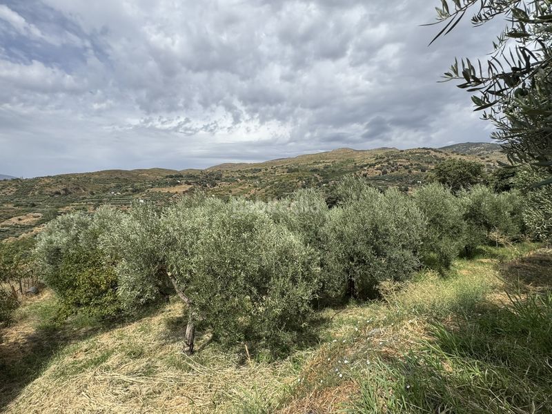 Foto c0d7c013-c244-42d2-890a-bf09ad01725b. Finca rústica a calle lavadero 15 a Ohanes