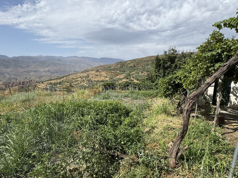 Foto d403e945-9cd0-4778-ac21-a3fbad7174d5. Finca rústica a calle lavadero 15 a Ohanes