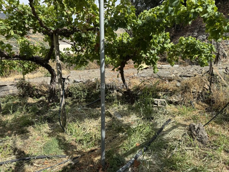 Foto e5a977bc-d3a7-4436-8bee-9b98fa0dc261. Finca rústica a calle lavadero 15 a Ohanes