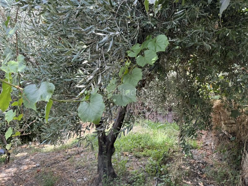 Foto ec83e42d-6e9e-4838-bded-110d8be94e1d. Finca rústica a calle lavadero 15 a Ohanes