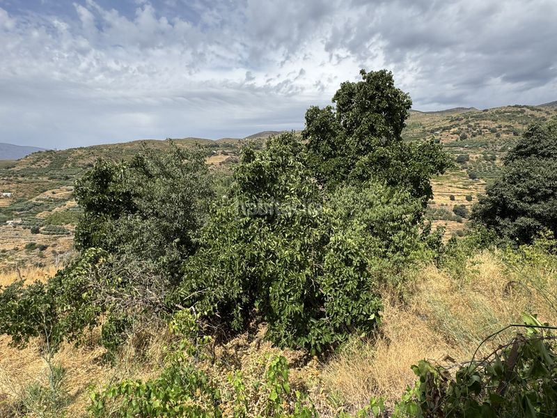 Foto f2c9833b-49b9-4dcf-9e1c-261a8d26a78d. Finca rústica a calle lavadero 15 a Ohanes