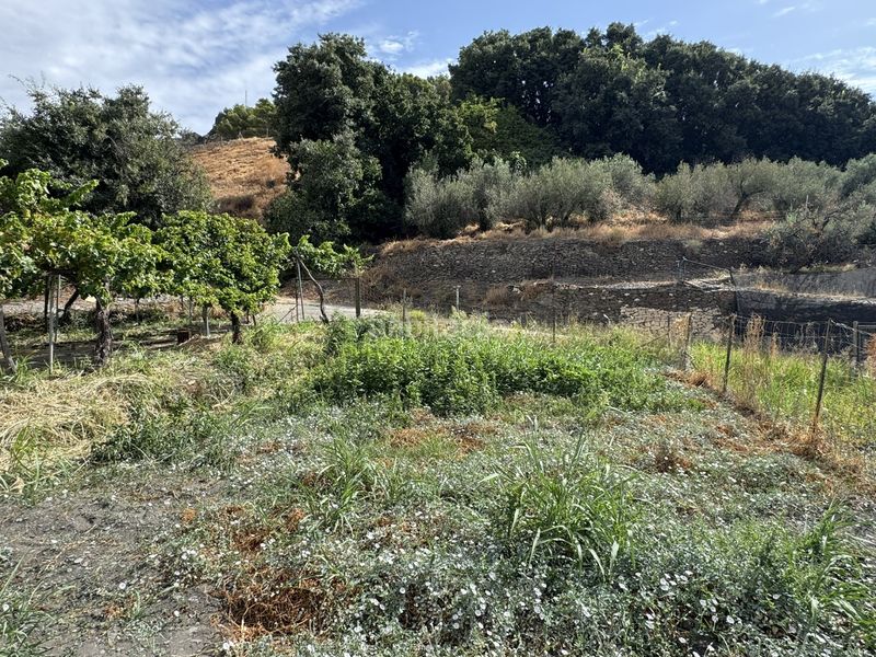 Foto f563d0d6-c0dd-4594-bacc-a17286e06a72. Finca rústica a calle lavadero 15 a Ohanes