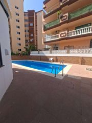 Rent Apartment in N/a 4