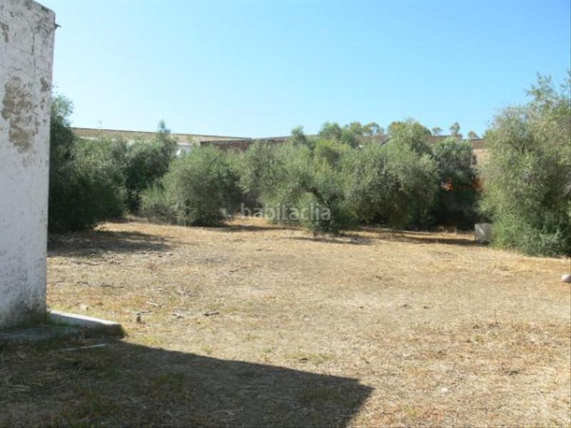 Foto 47471a3c-9d22-45fe-85b6-e73fba3a45e9. Terreno residencial exclusiva oportunidad ! solar urbano de 1.660 m con nave y pozo propio 99.995 en Castilblanco de los Arroyos